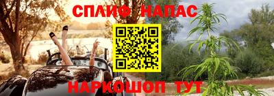 таблы Новодвинск